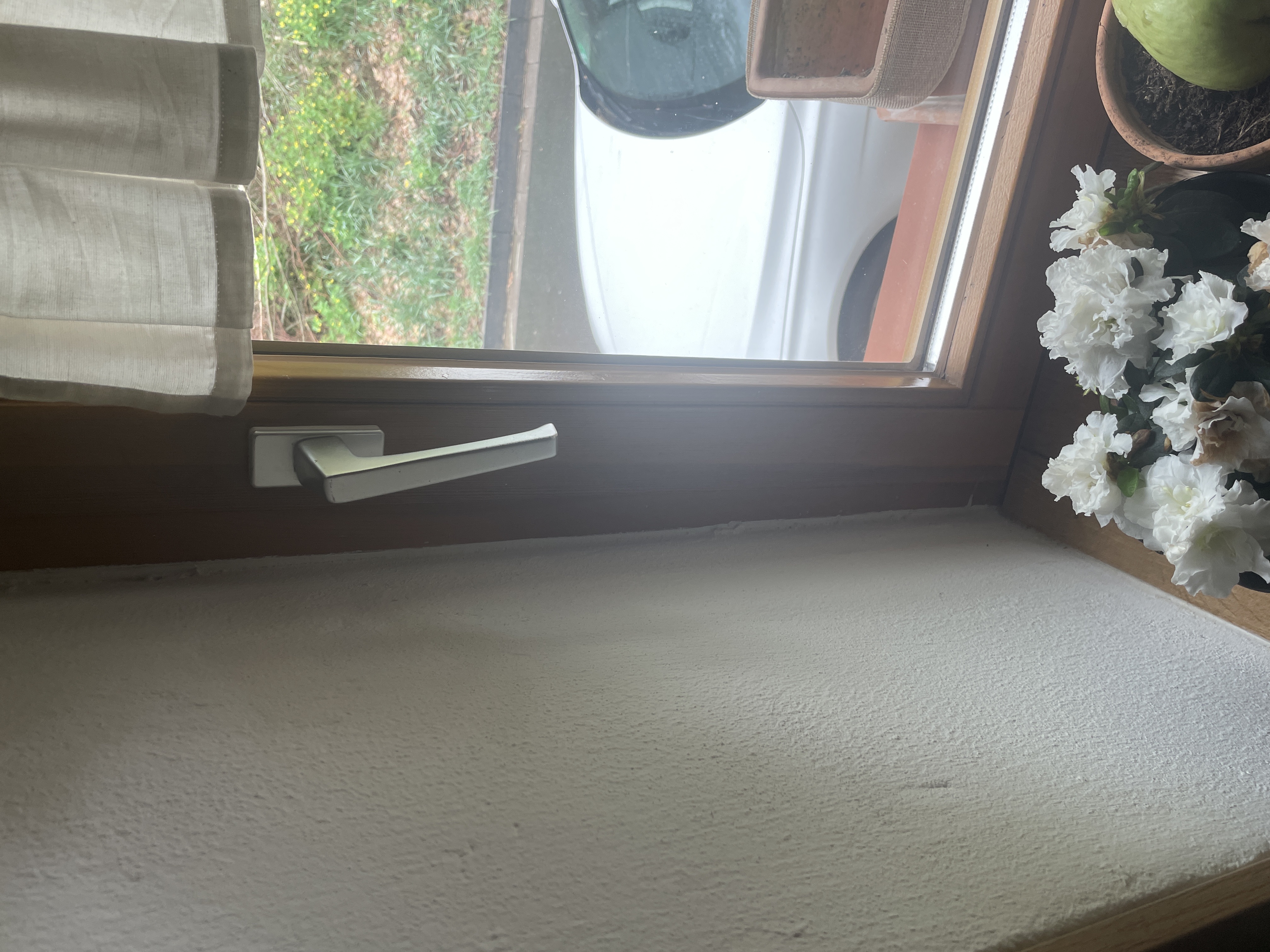 FENSTER